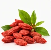 Goji Berry ingredient illustration
